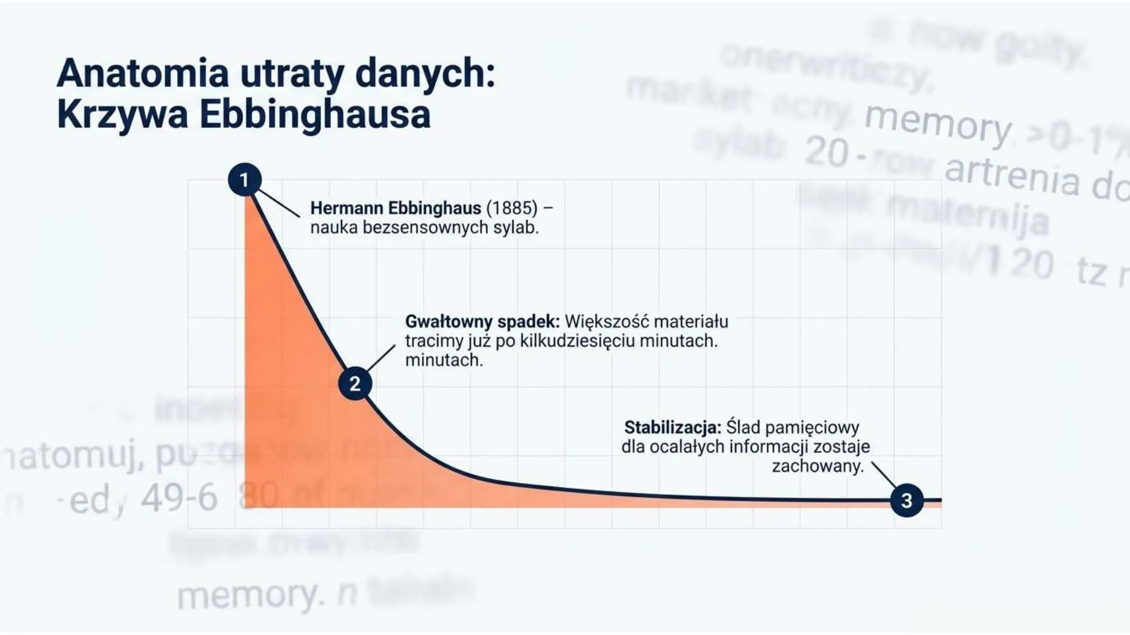 Krzywa zapominania Ebbinghausa — anatomia utraty danych
